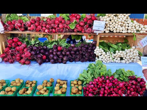 Sarnia Farmers’ Market #gallivanting | CaribbeanPot.com