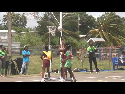 Two advance to primary school netball semis