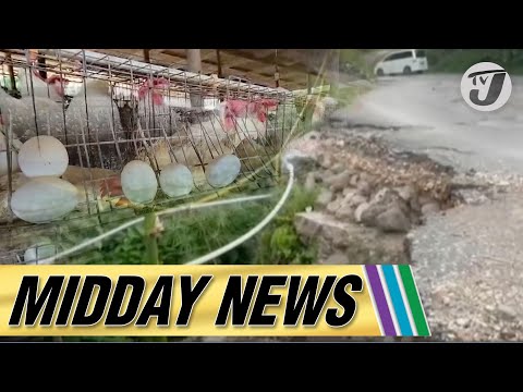 2 Men Die in Motor Vehicle Crash in St Catherine | Egg Shortage | Roads in Chapelton & Trout Hall