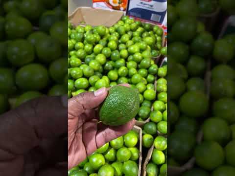 Limes 101 | CaribbeanPot.com