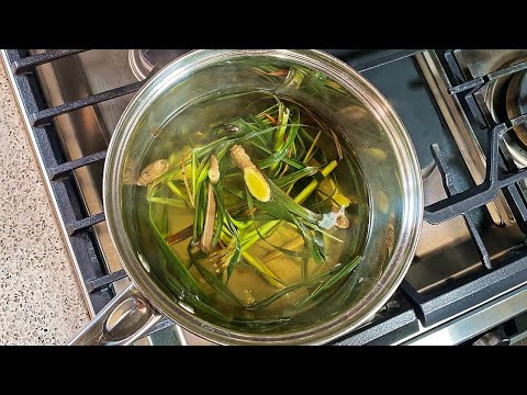 Healing Fevergrass Ginger Tea | CaribbeanPot.com