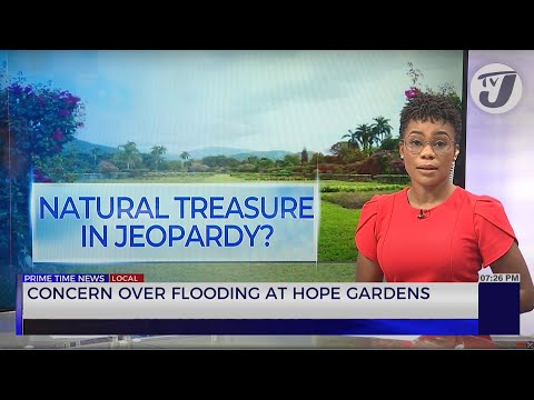 Concern Over Flooding at Hope Gardens | TVJ News
