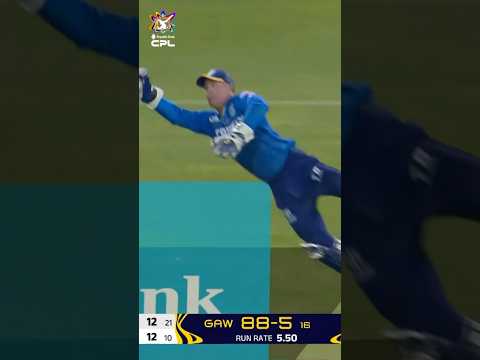 Super Seifert 🦸 What a catch by Tim Seifert 😱