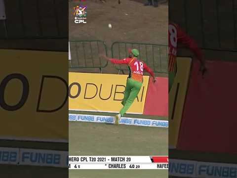 Shoaib Malik and Mohammad Hafeez combine for an absolute stunner 🤯