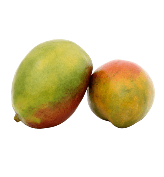 Fresh Mango