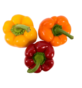 Simla Chilli