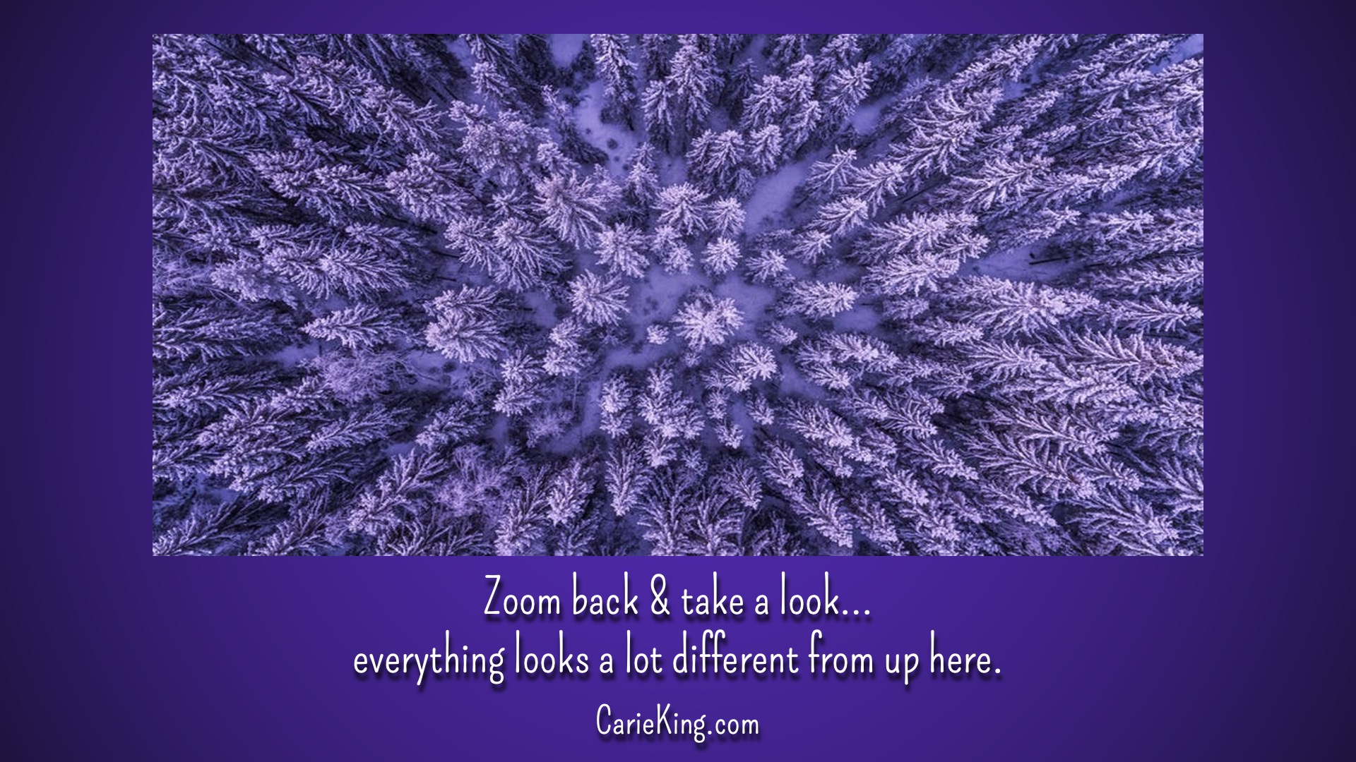 Read more about the article Zoom back & take a look