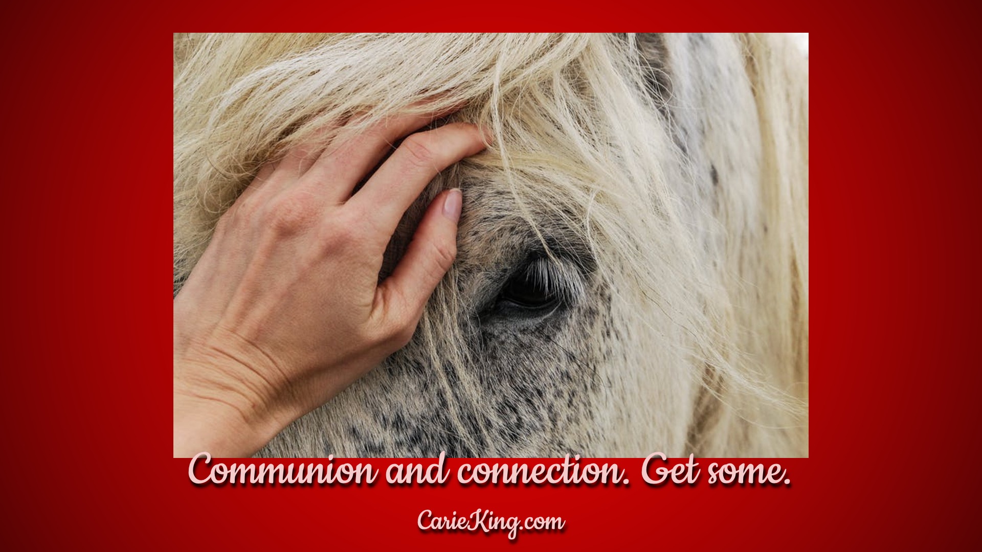 Read more about the article Communion and connection