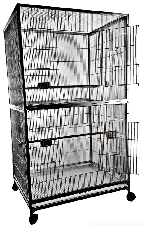 cockatiel cage size minimum requirements