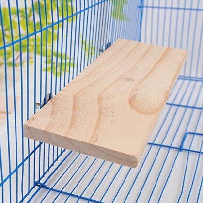 bird platform perch