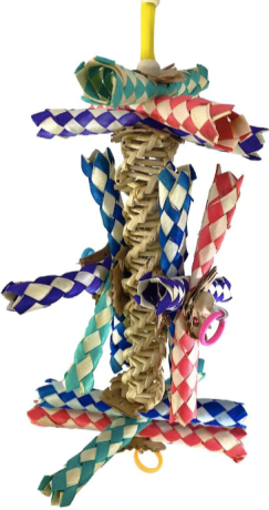 Best foraging toys for conure birds