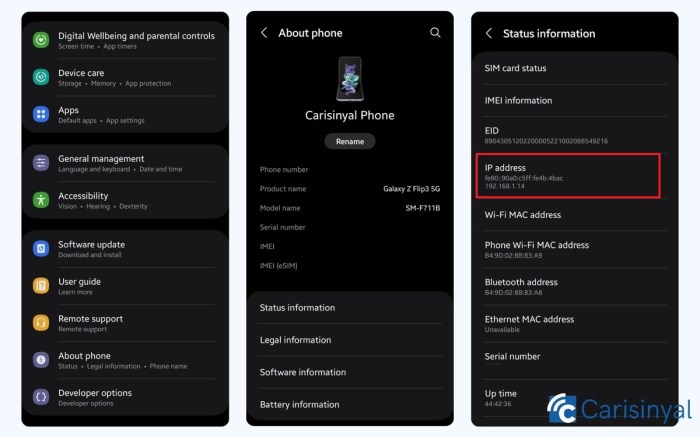 How to Set IP address on an Android Phone