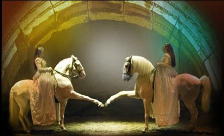 Cavalia-Mirror