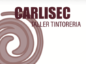 carlisec.com