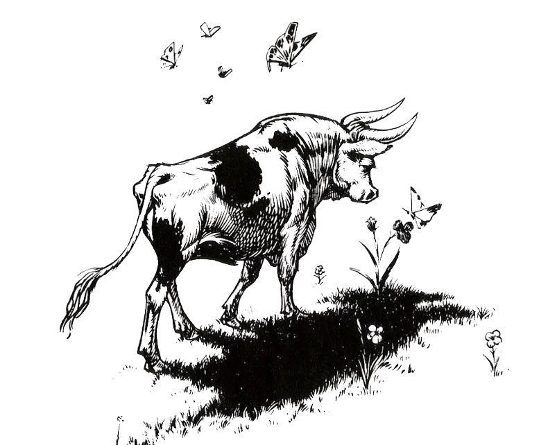 Because I Cannot Forget