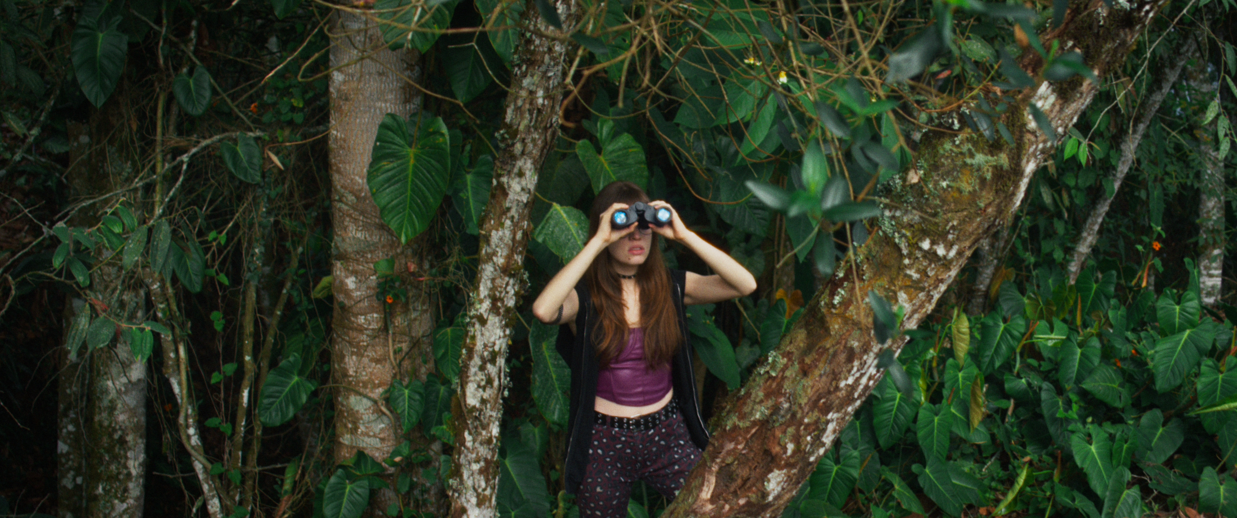 Medell&iacute;n como nunca la hab&iacute;as visto: una esmeralda, un robo y una historia de regreso