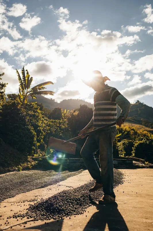 portrait de vigneron 2
