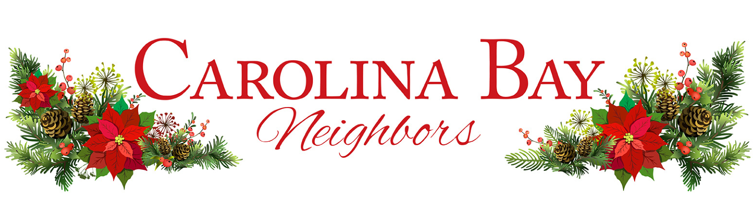 december-2020-cover-carolina-bay-neighbors