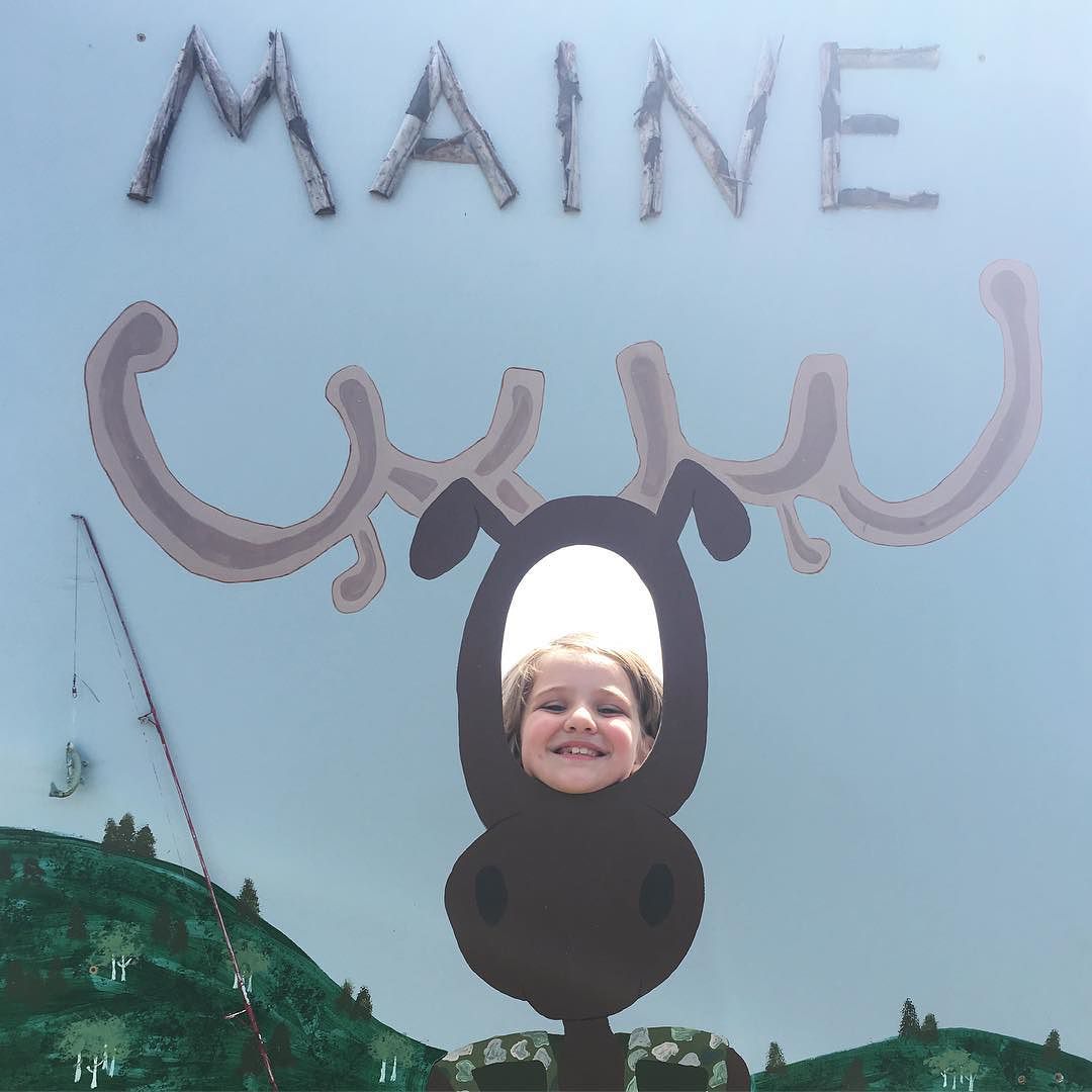 Hello, Ms. Moose!