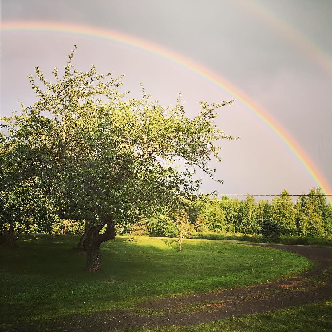 Rainbow!