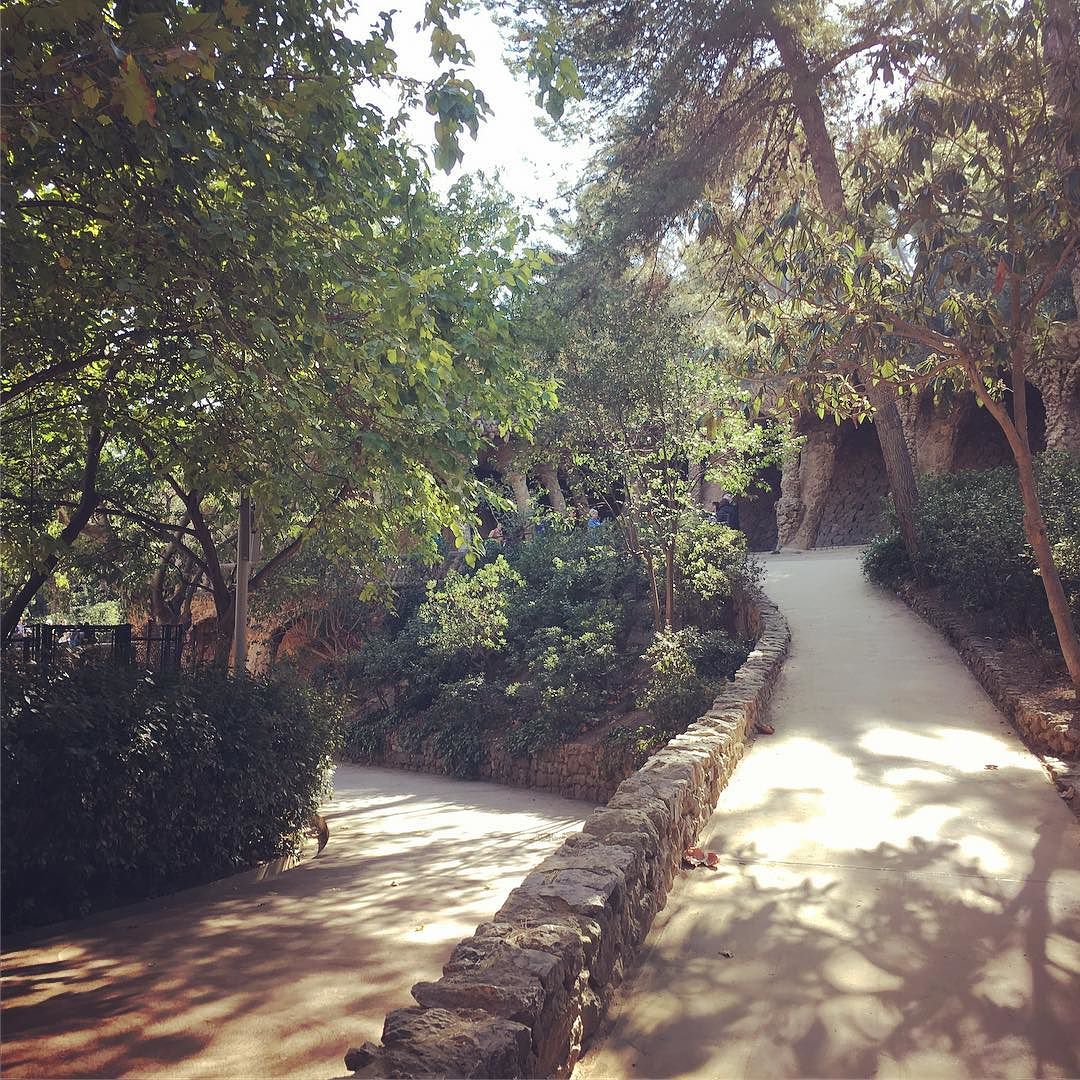 Walking in the park.