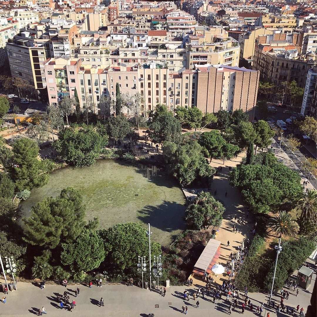 Park views.
