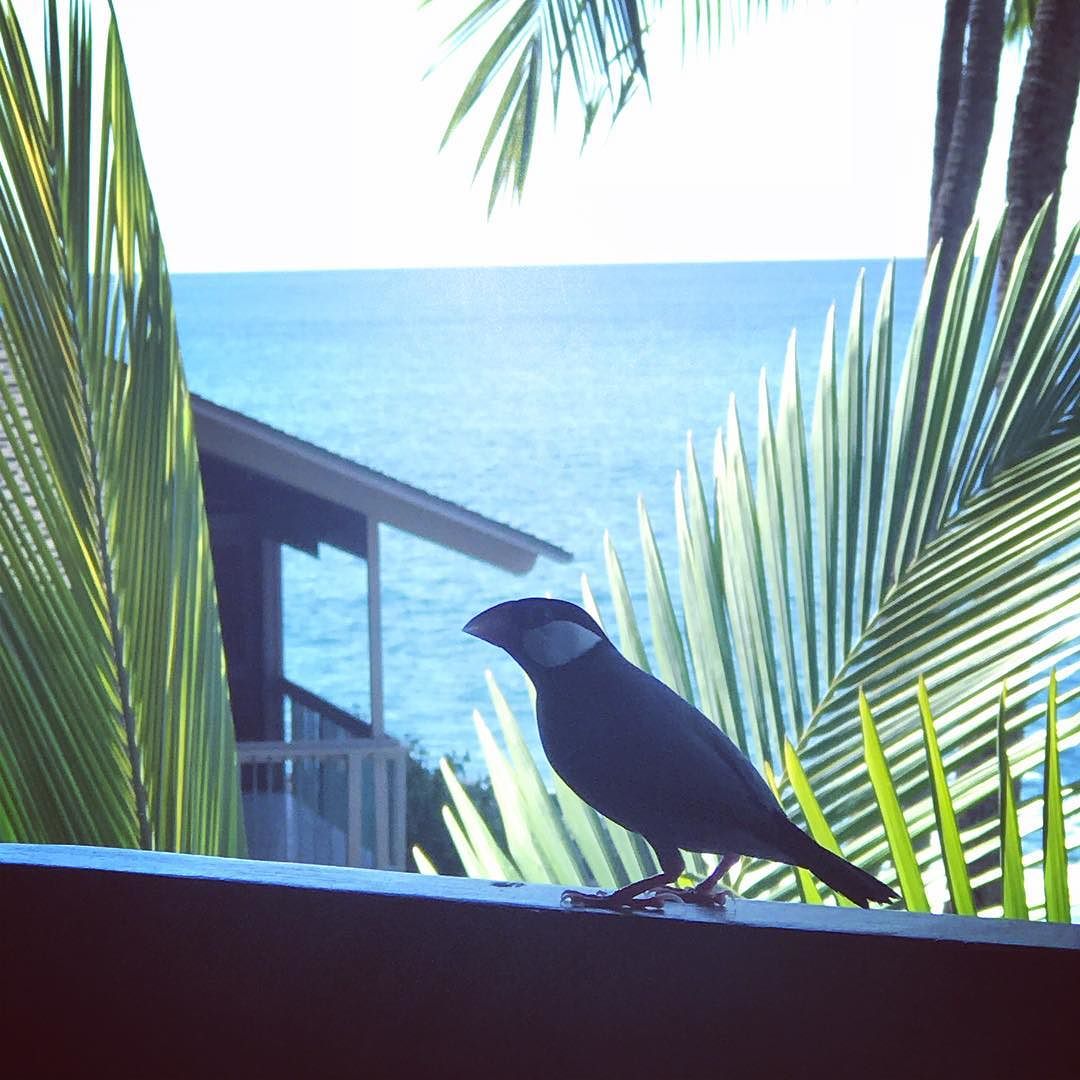Someone was interested in the remote work lifestyle.