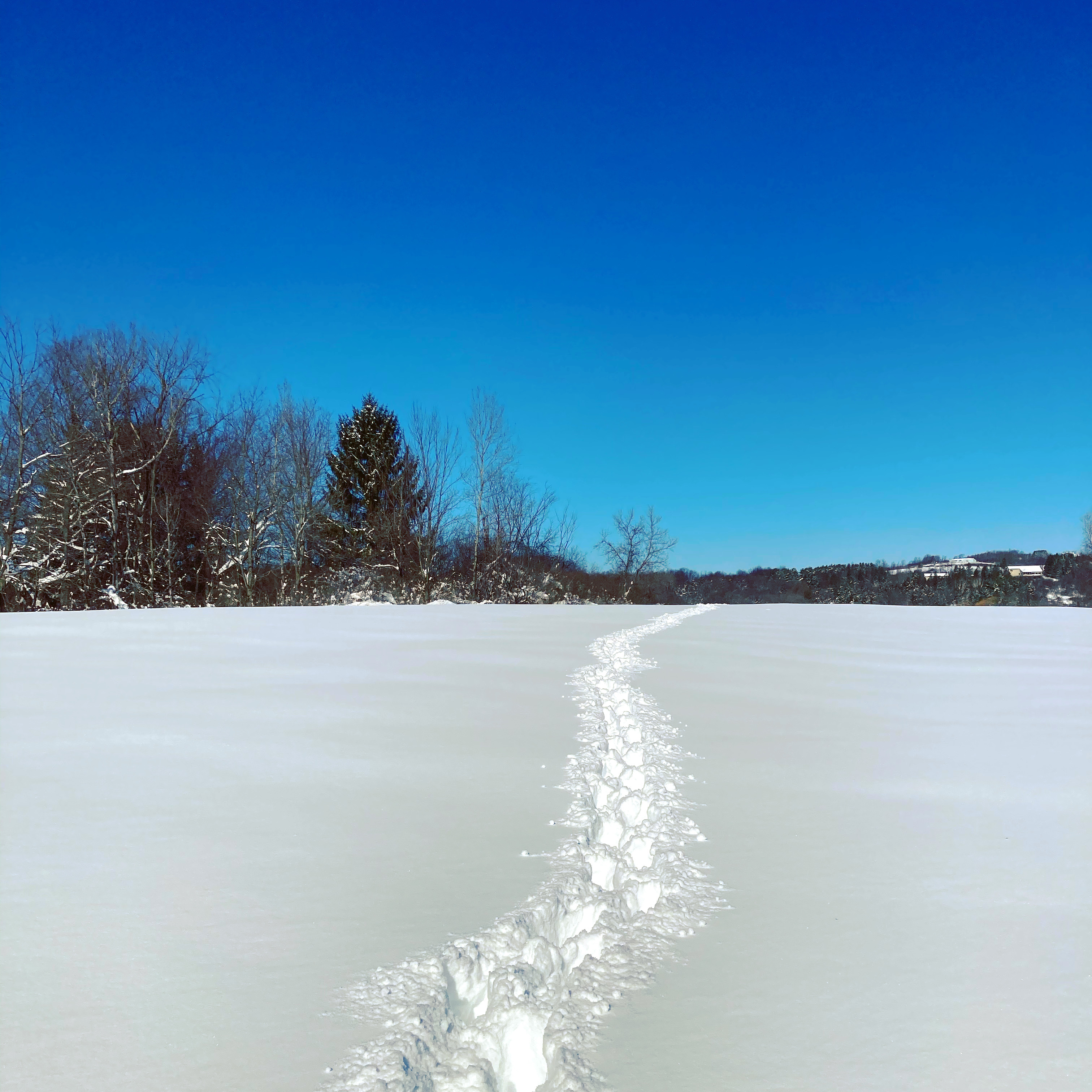 Boy, I think you’re confused; I’m not Persephone