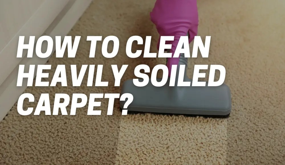 How to clean heavily soiled carpet? [tips and hints]