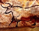 Bull One