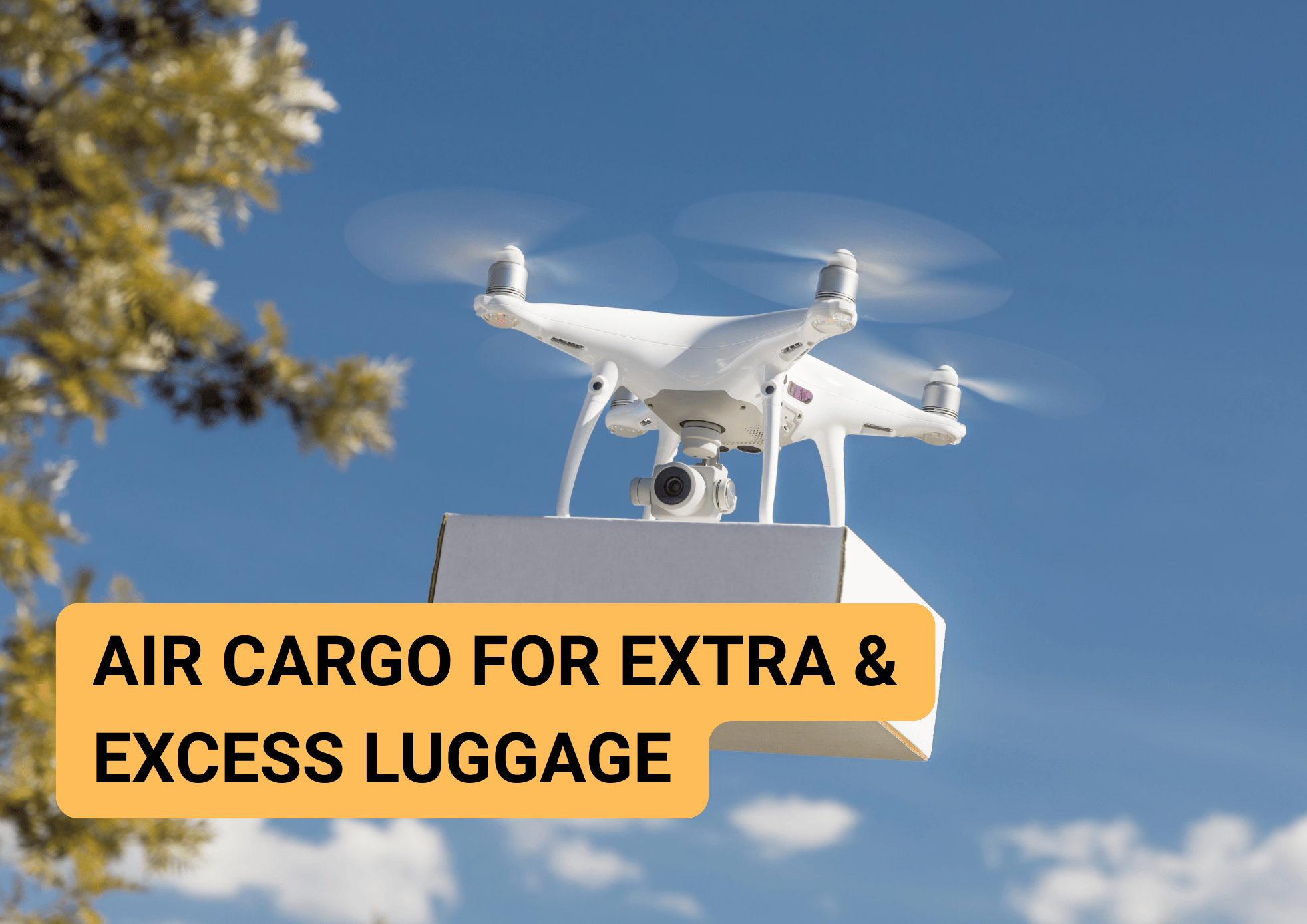 Air Cargo for Extra & Excess Luggage