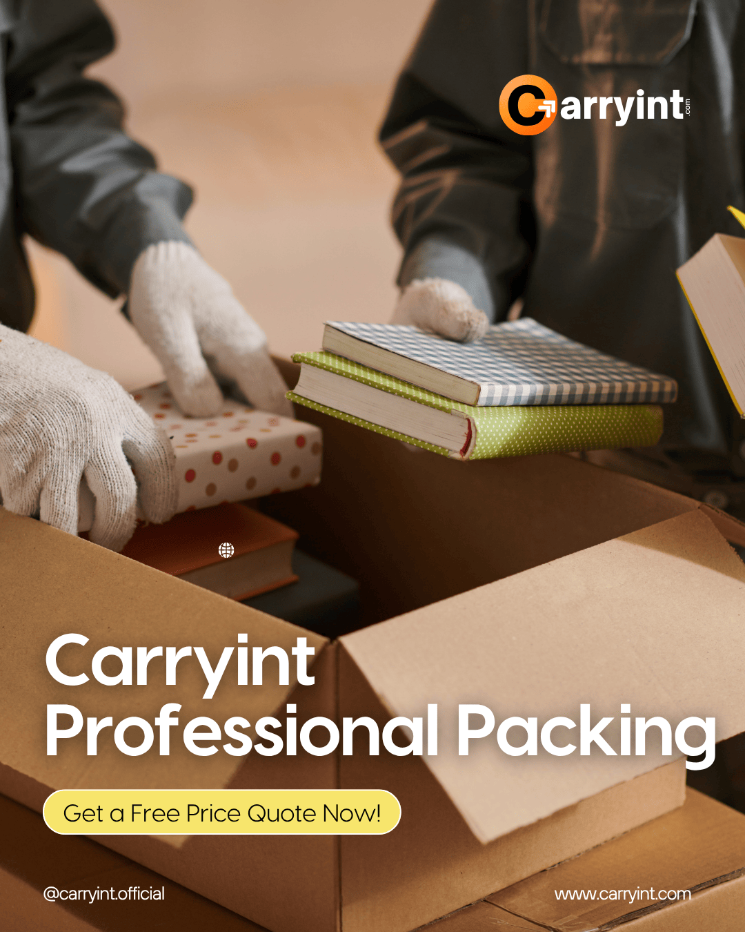 Carryint Professional Packing​