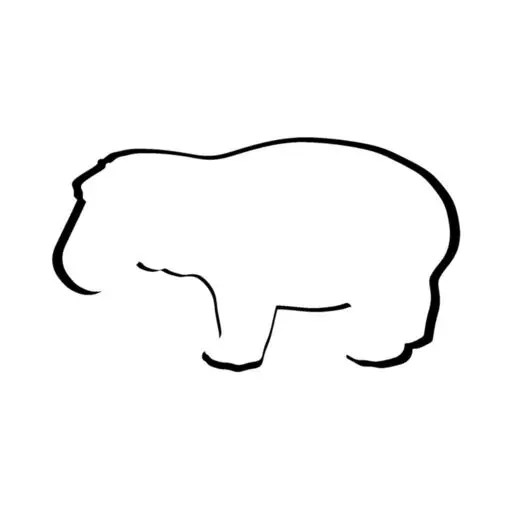 Little Hippo