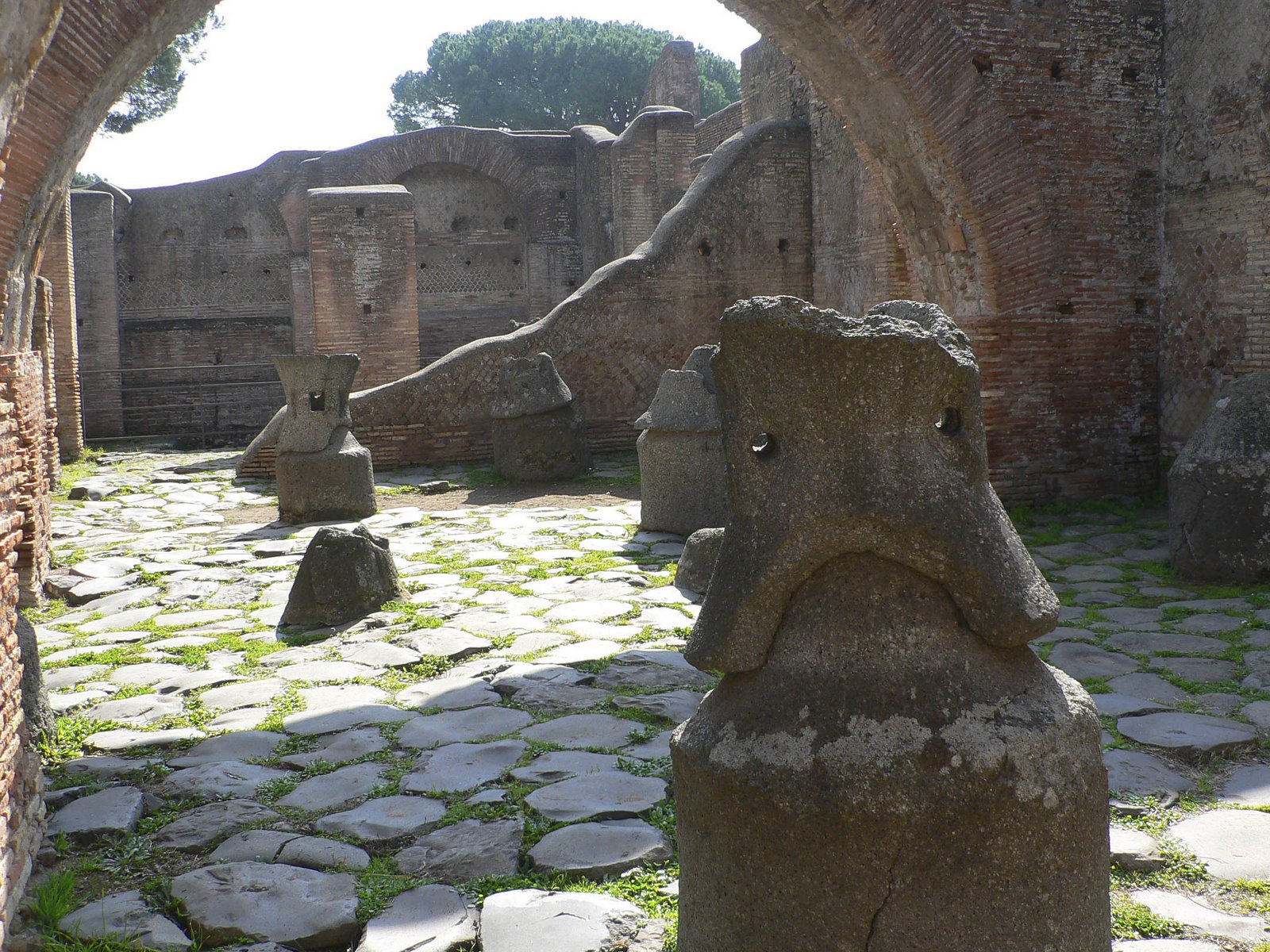 Nouveau Venu Qui Cherches Rome En Rome Analyse