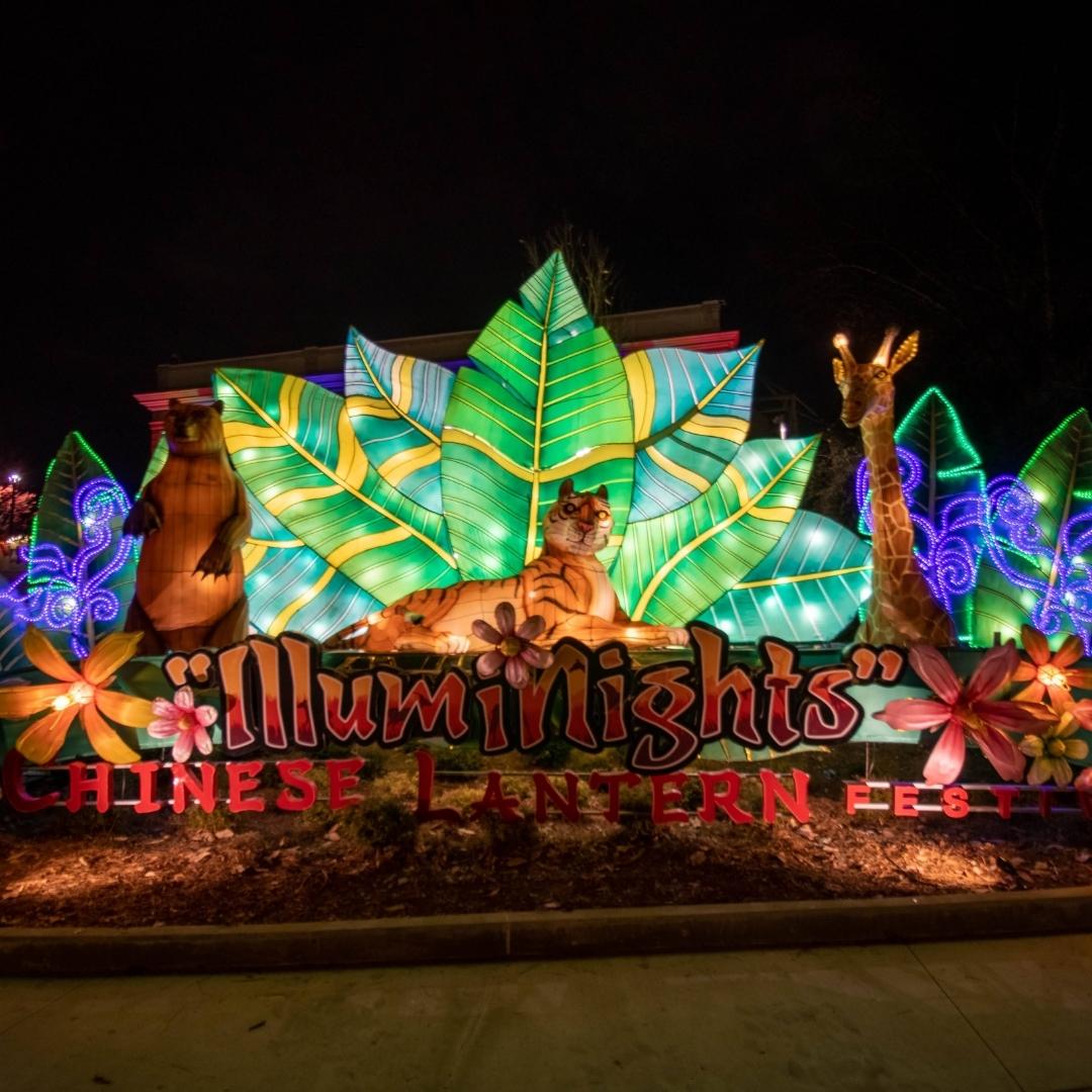 Urban Enchantment: Illuminights at Zoo Atlanta - The Carterhaugh School ...