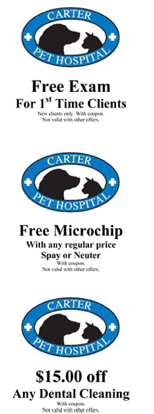 carterspethospital cheap buy online on carter pet hospital coupons