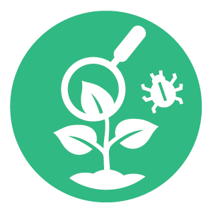 Pathway Icons - EnviroAgScience