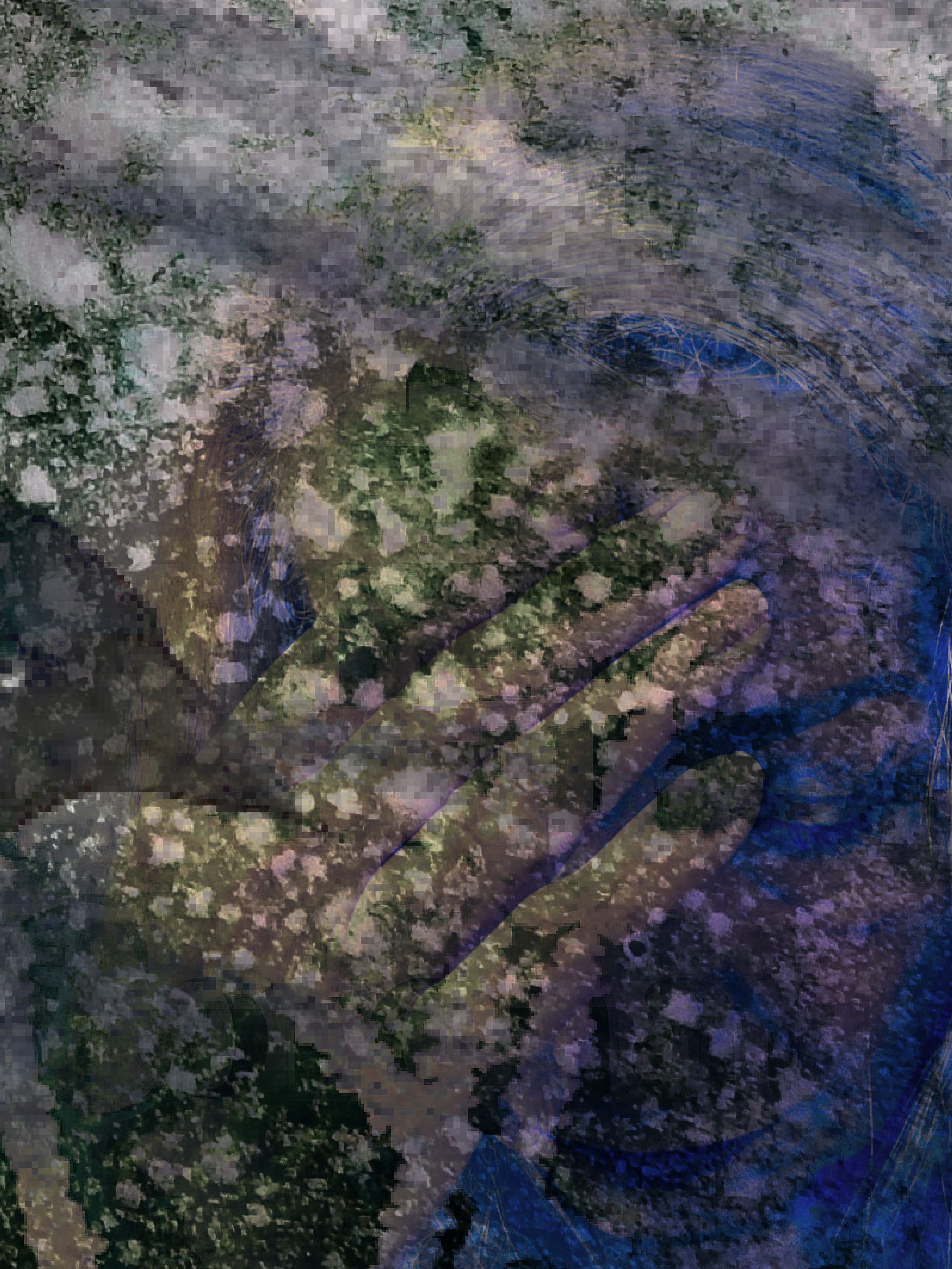 time traces transformation