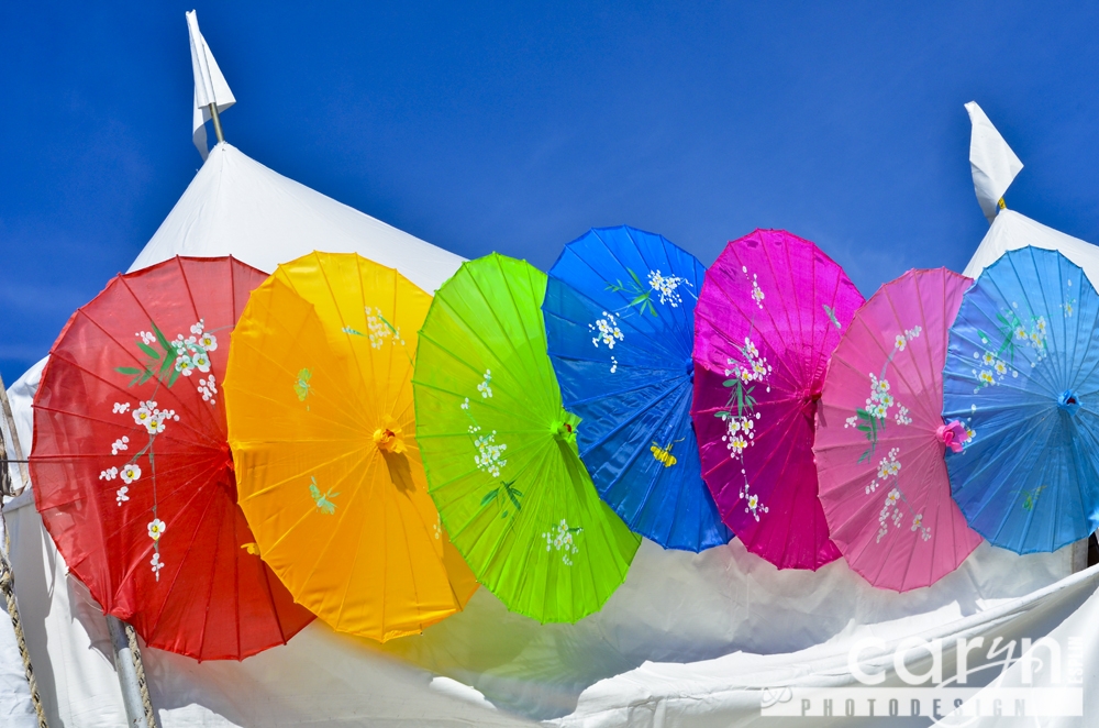 Umbrella Palette