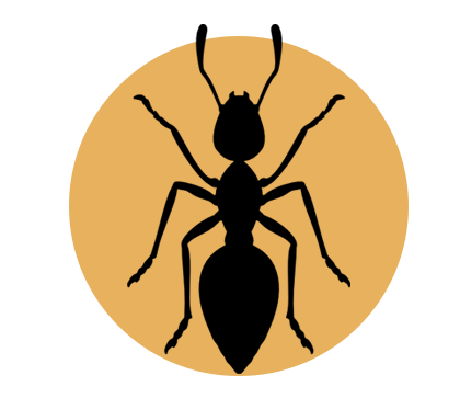 ant