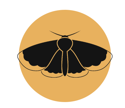 moth