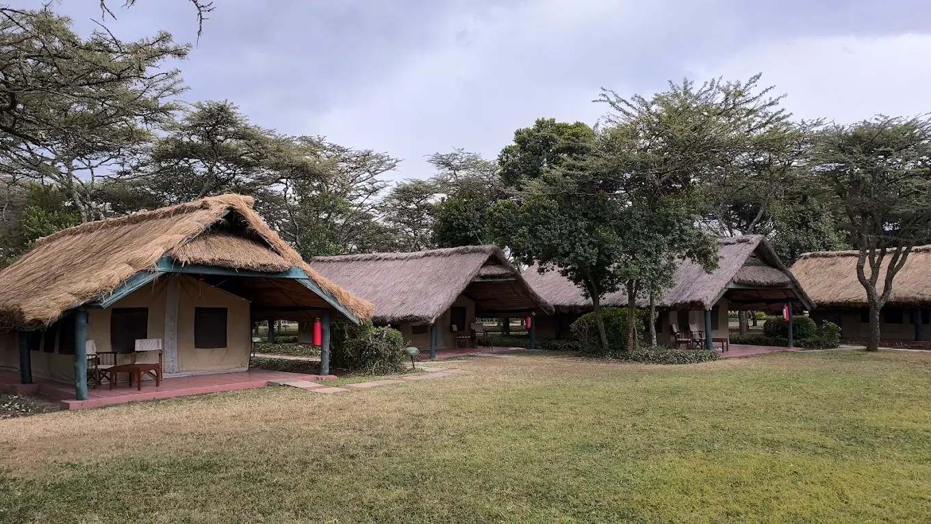 Masai Mara, Kenya