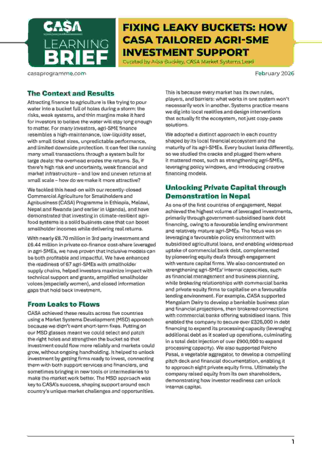 Fixing Leaky Buckets Learning Brief Cover