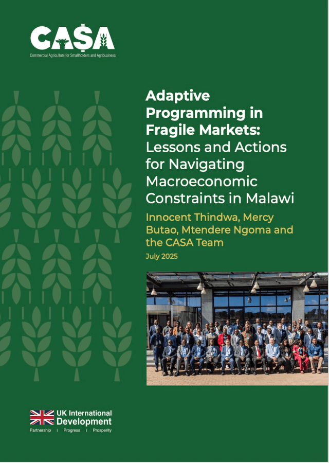 Adaptive Programming in Fragile Markets
