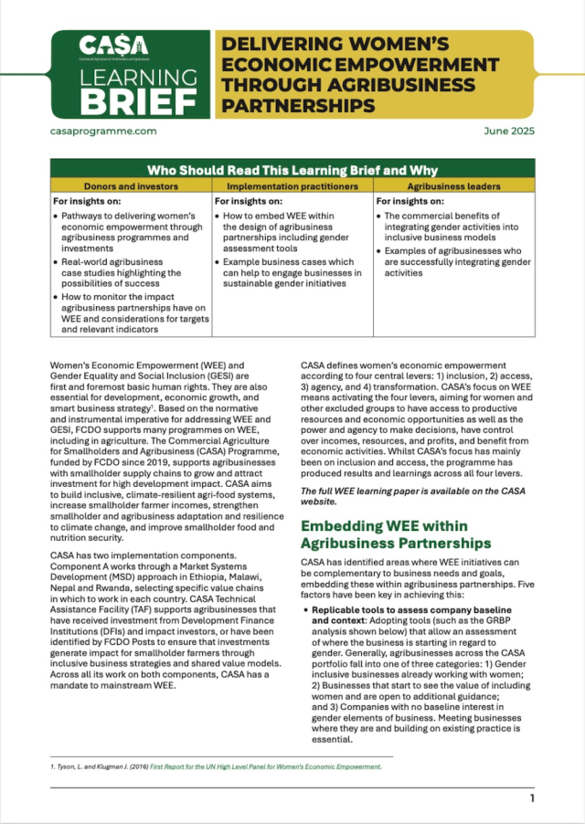 WEE Learning Brief Thumbnail