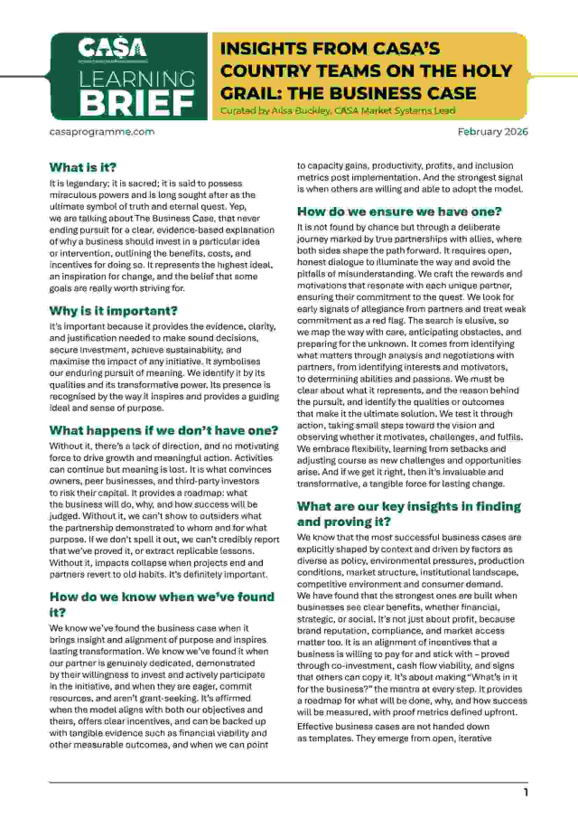 The Business Case Learning Brief Cover