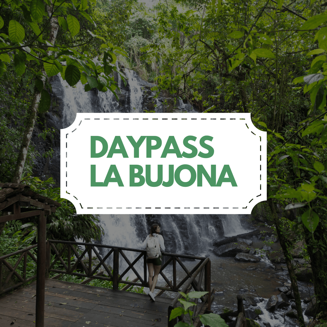 La Bujona DayPass