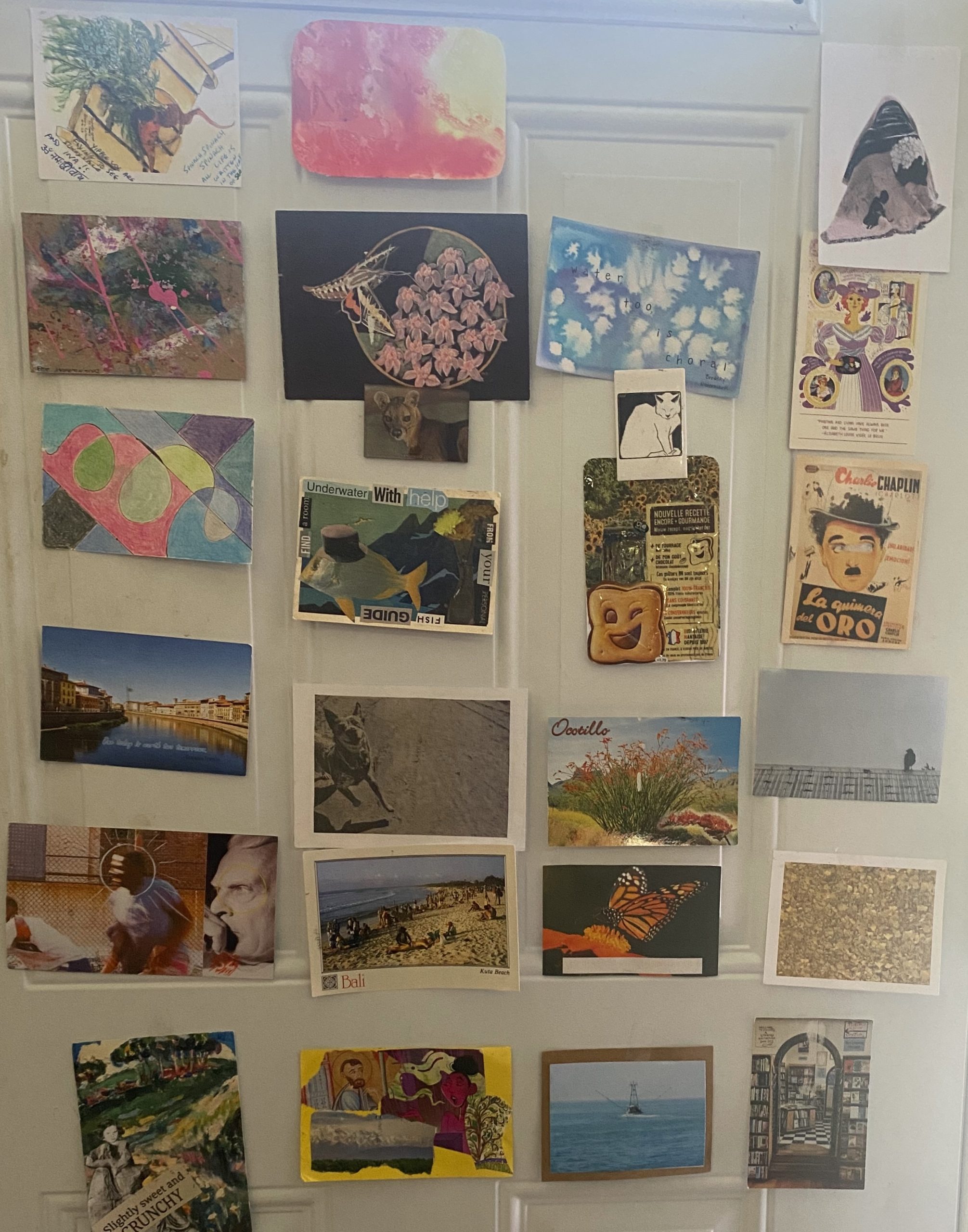 Post-Postcard Fest Zoom Reading (by Ina)