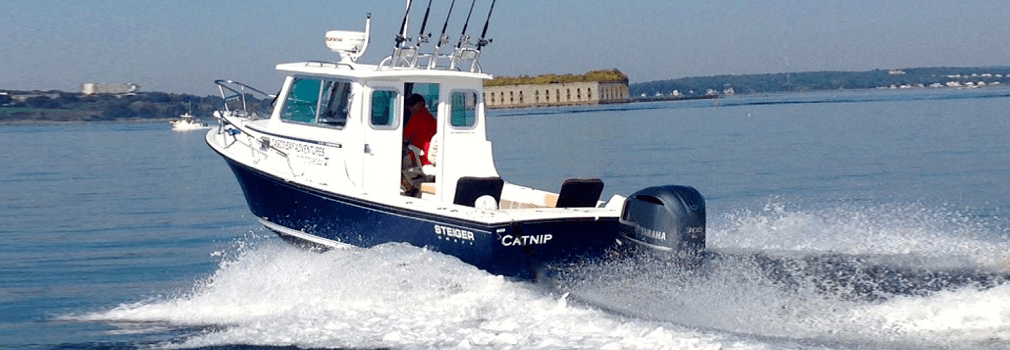 Casco Bay Adventures Charter Adventures