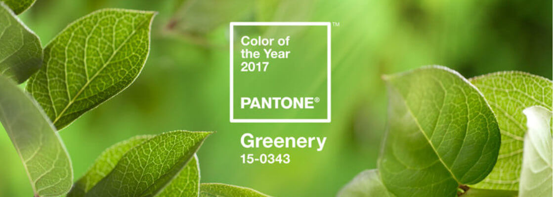Bring some GREEN into your Life 1 green pantone colour of the year